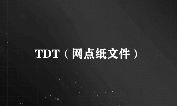 TDT（网点纸文件）