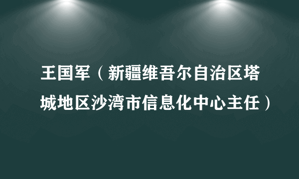 王国军（新疆维吾尔自治区塔城地区沙湾市信息化中心主任）