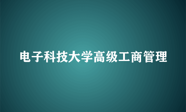 电子科技大学高级工商管理