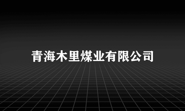 青海木里煤业有限公司