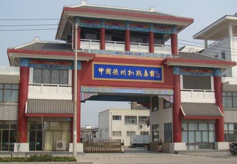 山东德州扒鸡集团