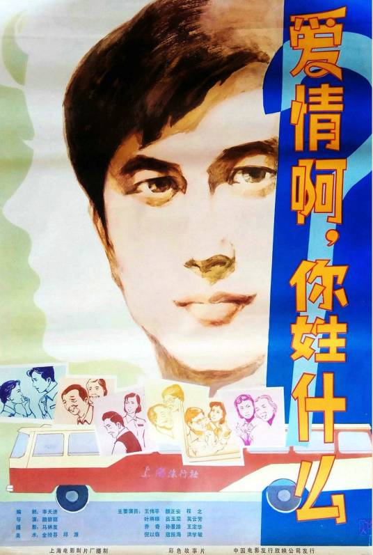 爱情啊，你姓什么？（1980年颜碧丽执导的电影）