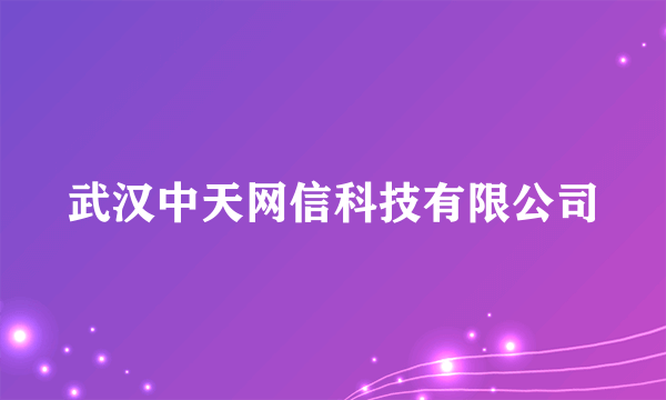 武汉中天网信科技有限公司