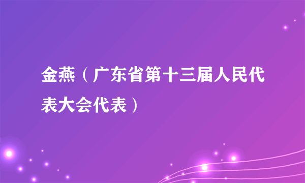 金燕（广东省第十三届人民代表大会代表）