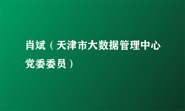 肖斌（天津市大数据管理中心党委委员）