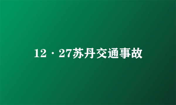 12·27苏丹交通事故