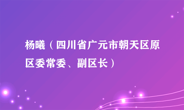 杨曦（四川省广元市朝天区原区委常委、副区长）