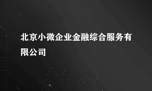 北京小微企业金融综合服务有限公司