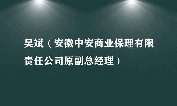 吴斌（安徽中安商业保理有限责任公司原副总经理）