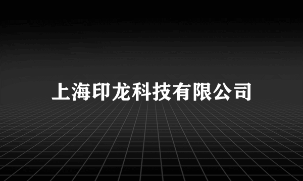 上海印龙科技有限公司