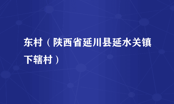 东村（陕西省延川县延水关镇下辖村）