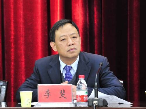 李斐（民进中央常委、湖北省副主委）