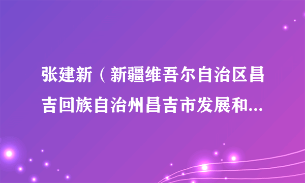 张建新（新疆维吾尔自治区昌吉回族自治州昌吉市发展和改革委员会党组书记、副主任（正科））