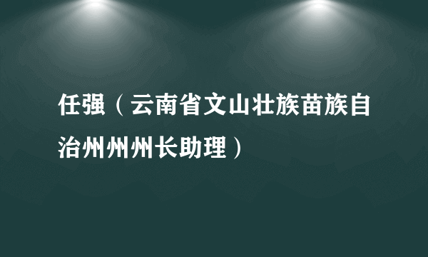 任强（云南省文山壮族苗族自治州州州长助理）