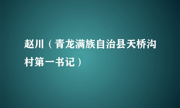 赵川（青龙满族自治县天桥沟村第一书记）