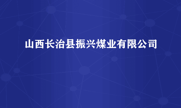 山西长治县振兴煤业有限公司