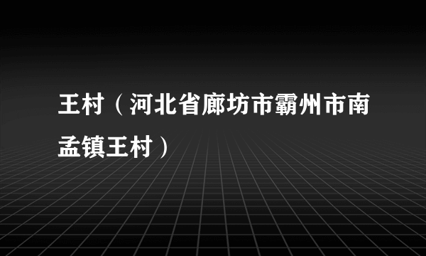 王村（河北省廊坊市霸州市南孟镇王村）