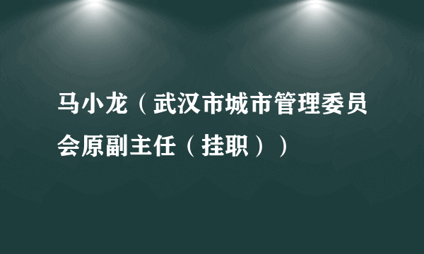 马小龙（武汉市城市管理委员会原副主任（挂职））