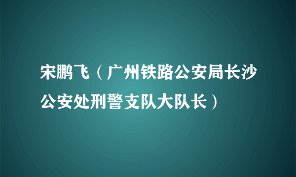 宋鹏飞（广州铁路公安局长沙公安处刑警支队大队长）