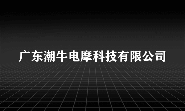 广东潮牛电摩科技有限公司