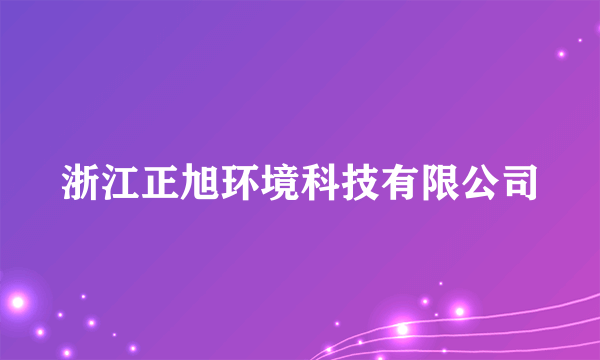 浙江正旭环境科技有限公司