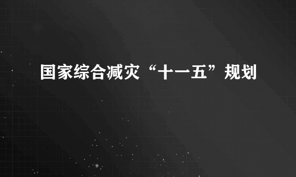 国家综合减灾“十一五”规划