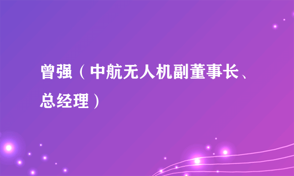 曾强（中航无人机副董事长、总经理）