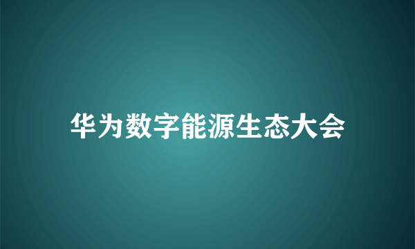 华为数字能源生态大会