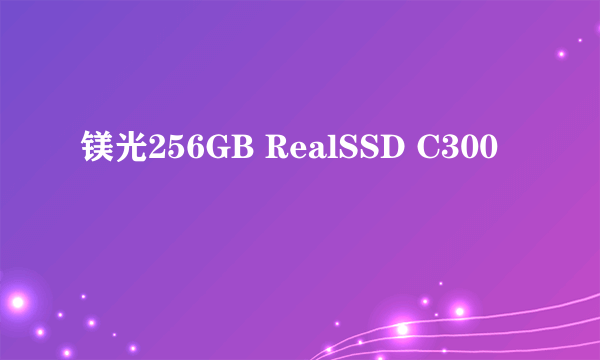 镁光256GB RealSSD C300