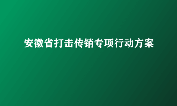 安徽省打击传销专项行动方案