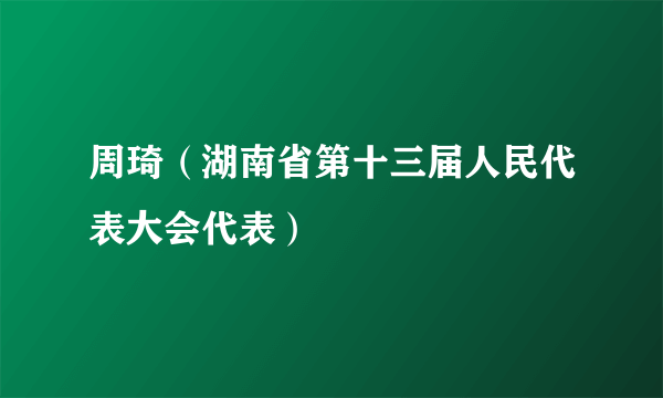 周琦（湖南省第十三届人民代表大会代表）