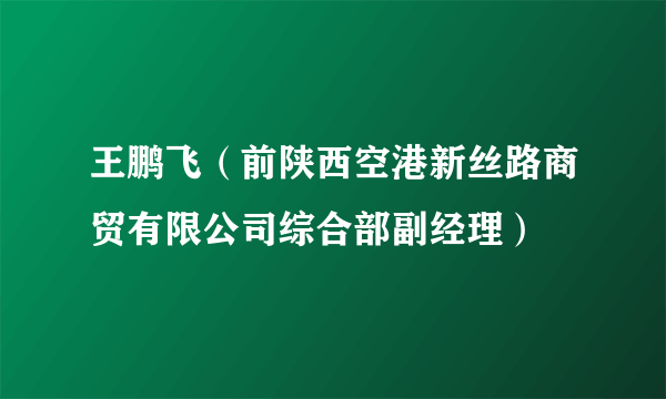 王鹏飞（前陕西空港新丝路商贸有限公司综合部副经理）