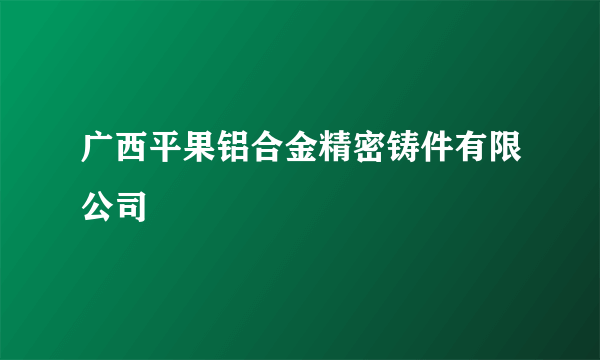 广西平果铝合金精密铸件有限公司