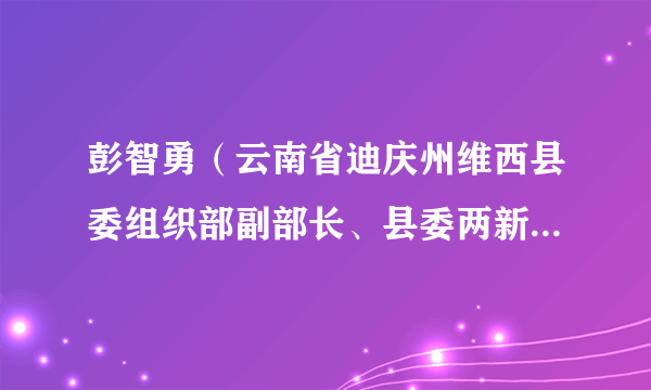 彭智勇（云南省迪庆州维西县委组织部副部长、县委两新工委书记）