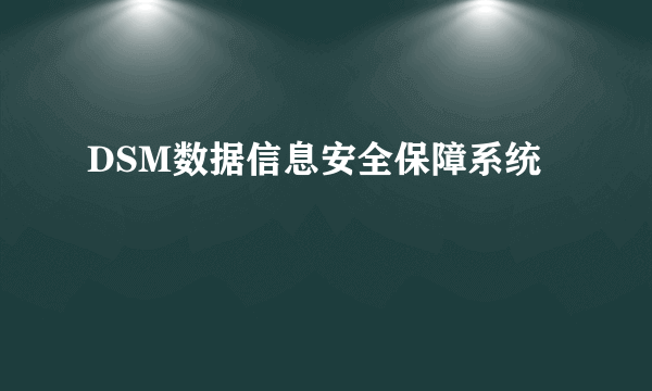 DSM数据信息安全保障系统