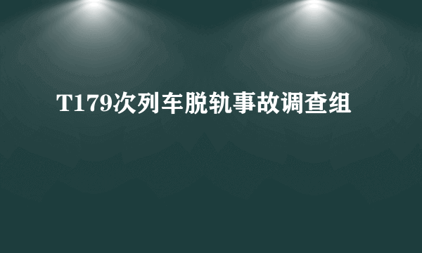 T179次列车脱轨事故调查组