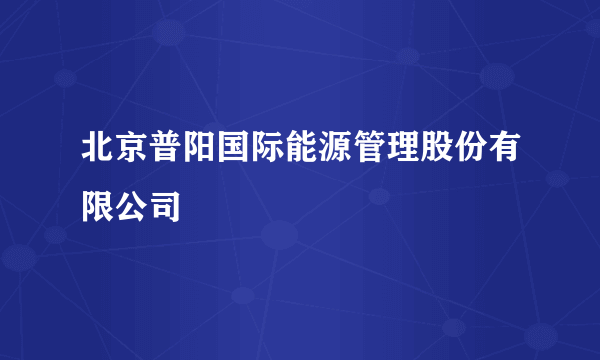 北京普阳国际能源管理股份有限公司