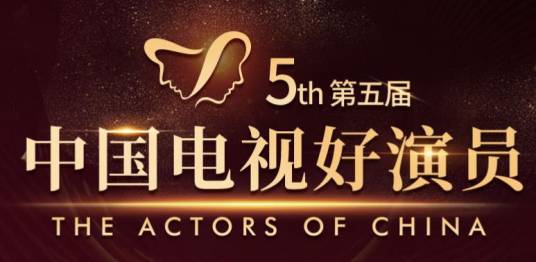 第5届中国电视好演员奖