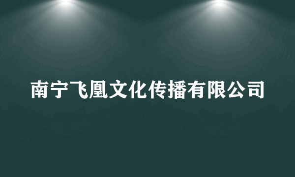 南宁飞凰文化传播有限公司