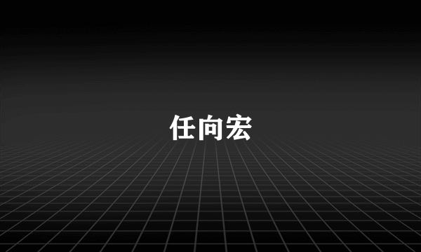 任向宏