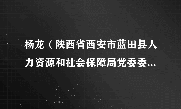 杨龙（陕西省西安市蓝田县人力资源和社会保障局党委委员、副局长）