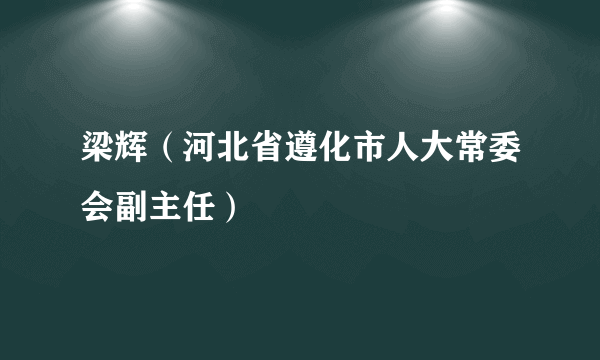 梁辉（河北省遵化市人大常委会副主任）