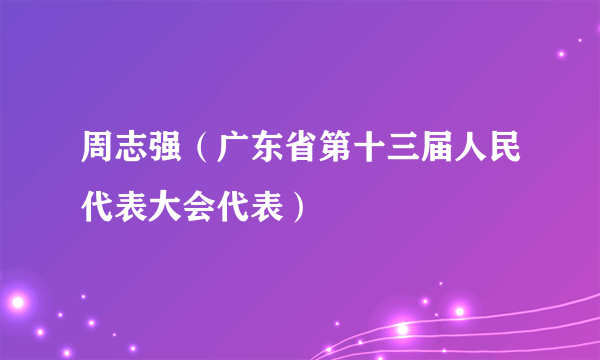 周志强（广东省第十三届人民代表大会代表）