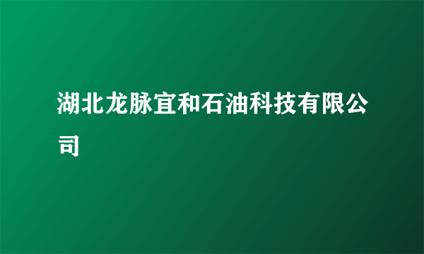 湖北龙脉宜和石油科技有限公司