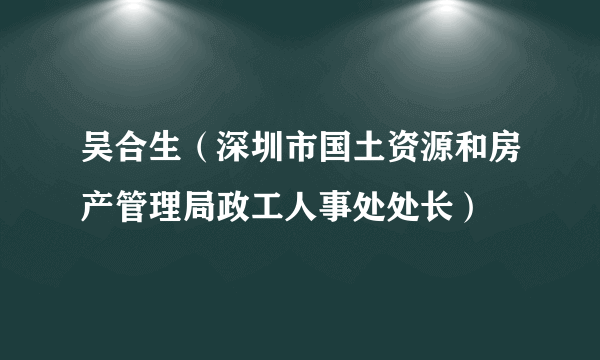 吴合生（深圳市国土资源和房产管理局政工人事处处长）