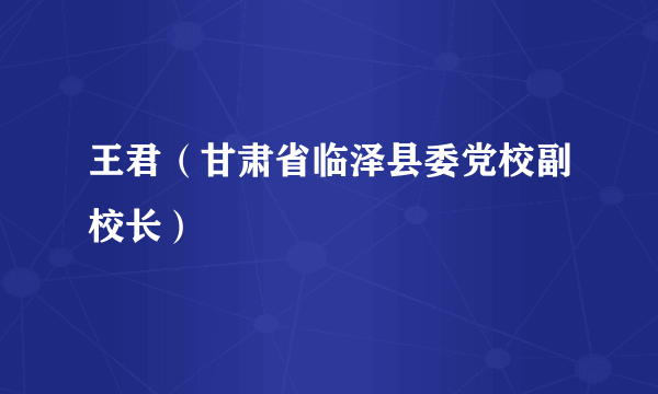 王君（甘肃省临泽县委党校副校长）