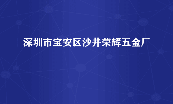 深圳市宝安区沙井荣辉五金厂