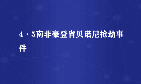 4·5南非豪登省贝诺尼抢劫事件