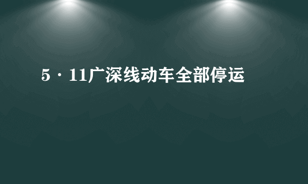 5·11广深线动车全部停运