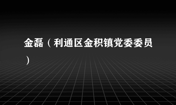 金磊（利通区金积镇党委委员）